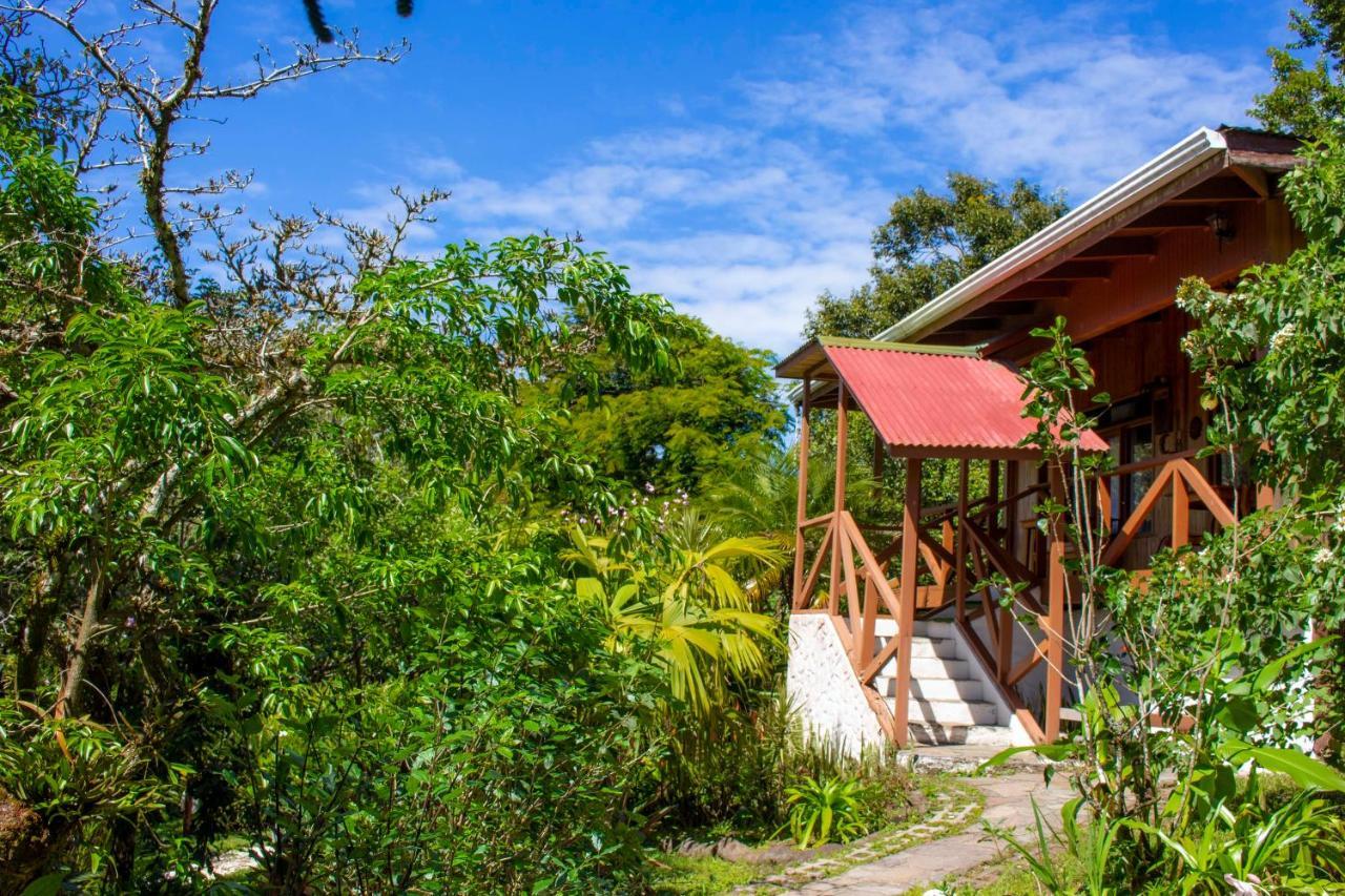 Hotel Holistico الجبل الأخضر المظهر الخارجي الصورة